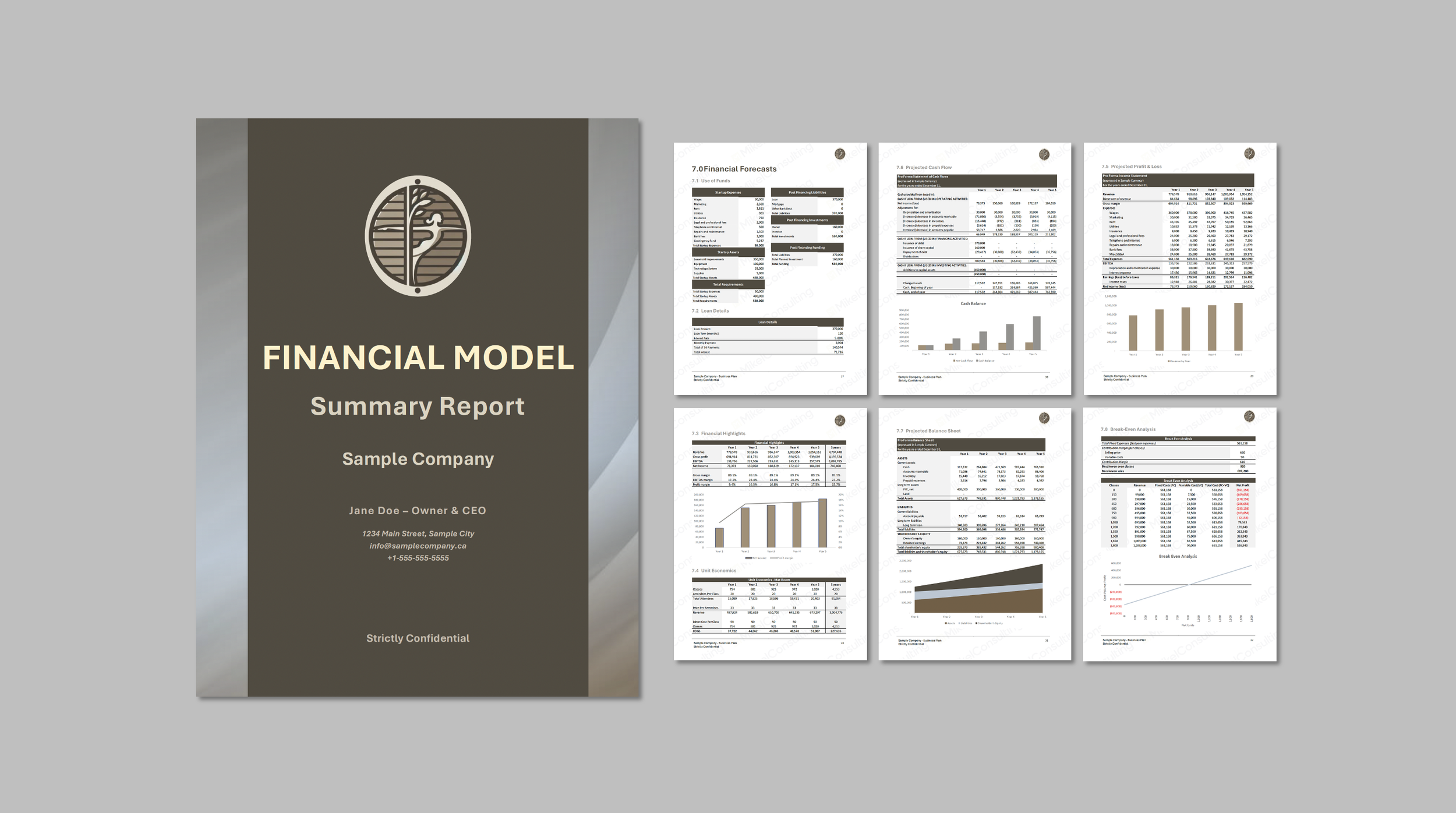 Financial Model Mikel Consulting